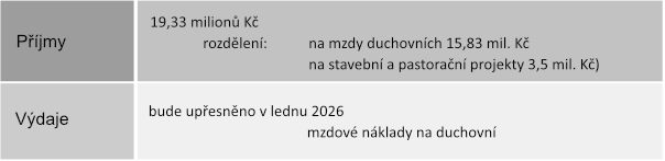 Rozpočet 2025